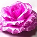 Г025 Голова роза Красота атлас. 7 сл, Д=16 см